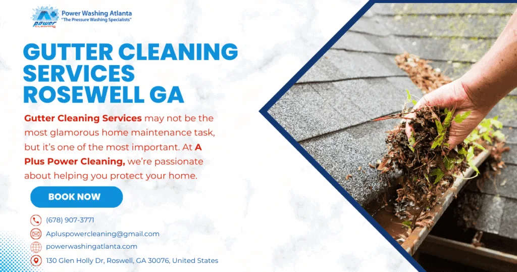 Gutter Cleaning Services