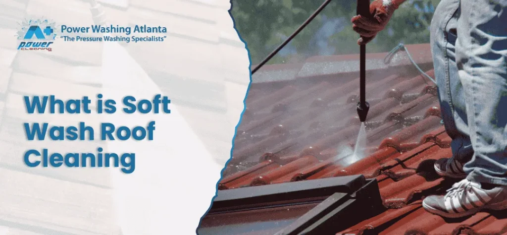 What is Soft Wash Roof Cleaning