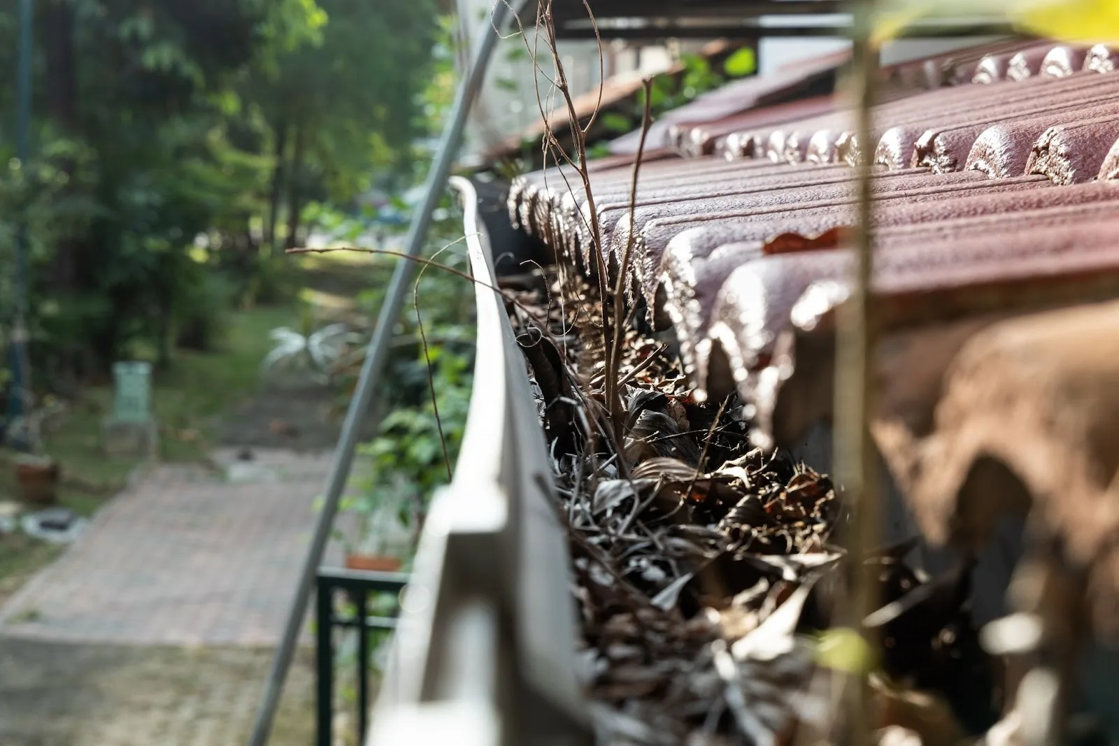 The Best Time of Year to Schedule Gutter Cleaning Services