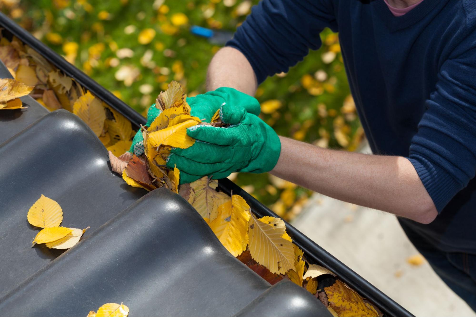 A homeowner uses gloved hands to remove leaves from their gutters.